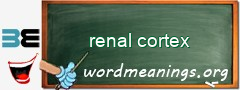 WordMeaning blackboard for renal cortex